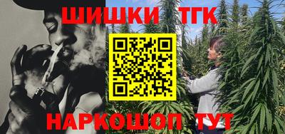 шишки Славгород