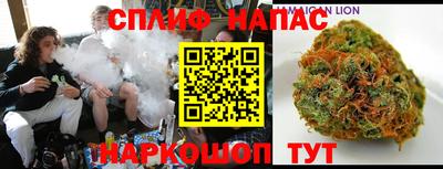 шишки Славгород