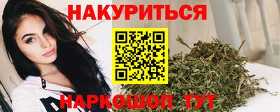 шишки Славгород