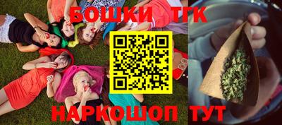 шишки Славгород