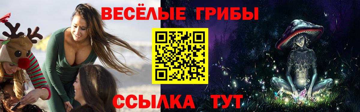 Орехово-Зуево  Галлюциногенные грибы ЛСД  Галлюциногенные грибы GOLDEN TEACHER  Вход с VPN 
